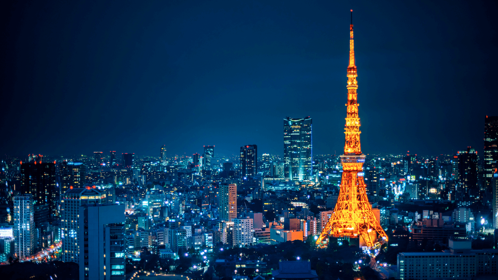 Ⅷ：新規顧客開拓