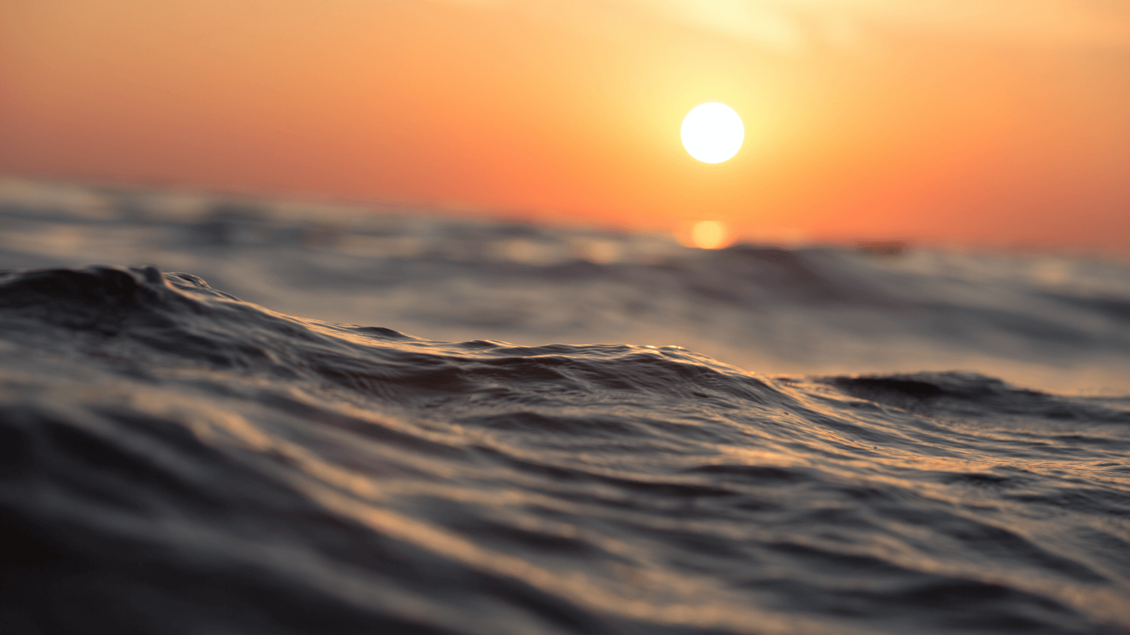 Ⅲ：銀行と借入金